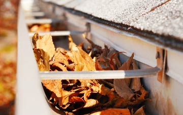 Speybank gutter cleaning companies